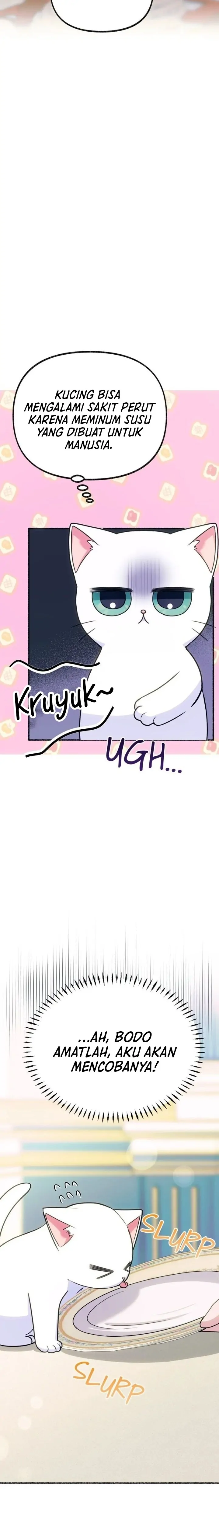 The Possesive Tyrant and His Sleepy Cat Chapter 2 page 8