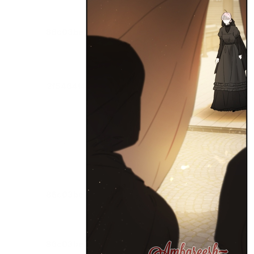 The Princess’s Double Life Chapter 105 page 154