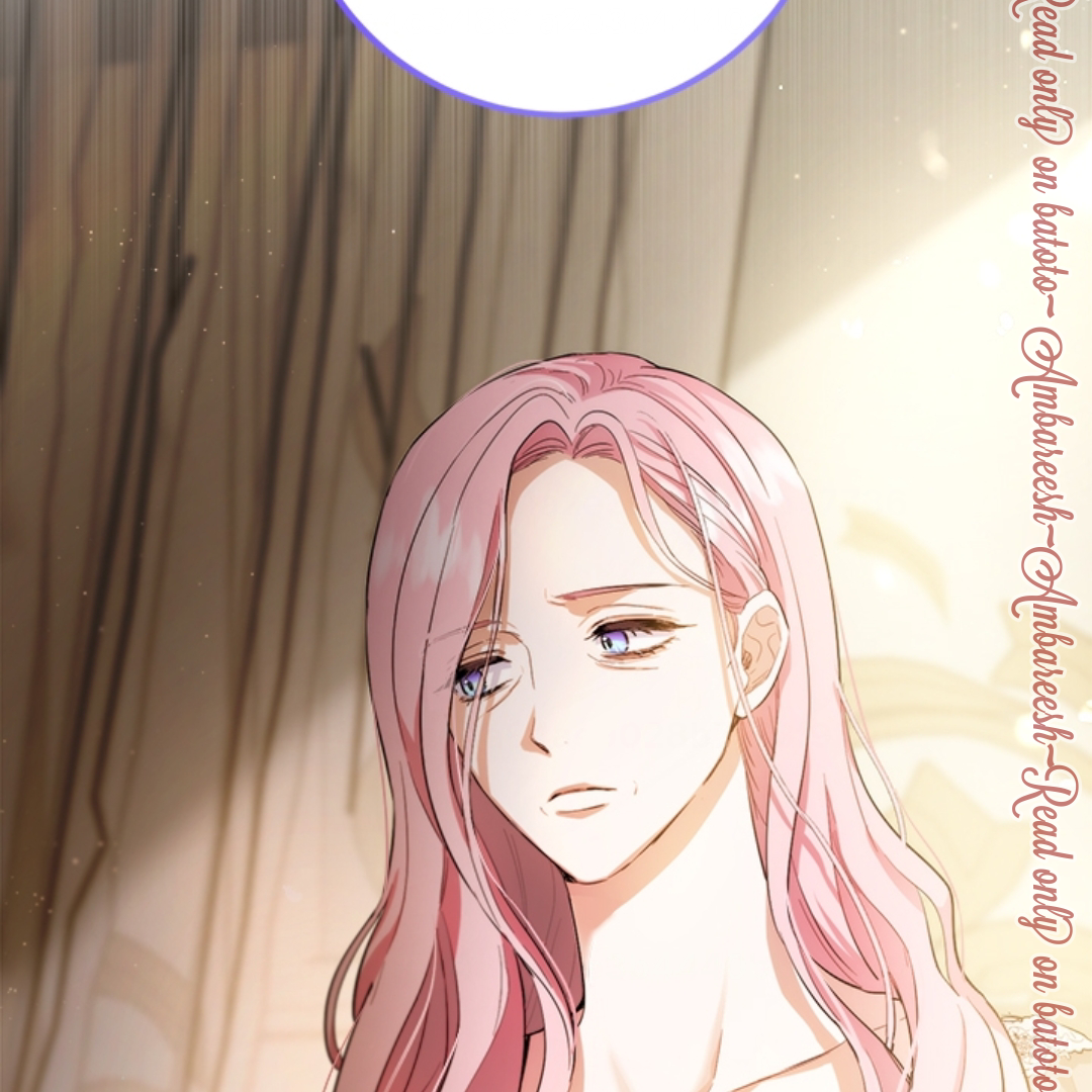 The Princess’s Double Life Chapter 107 page 160