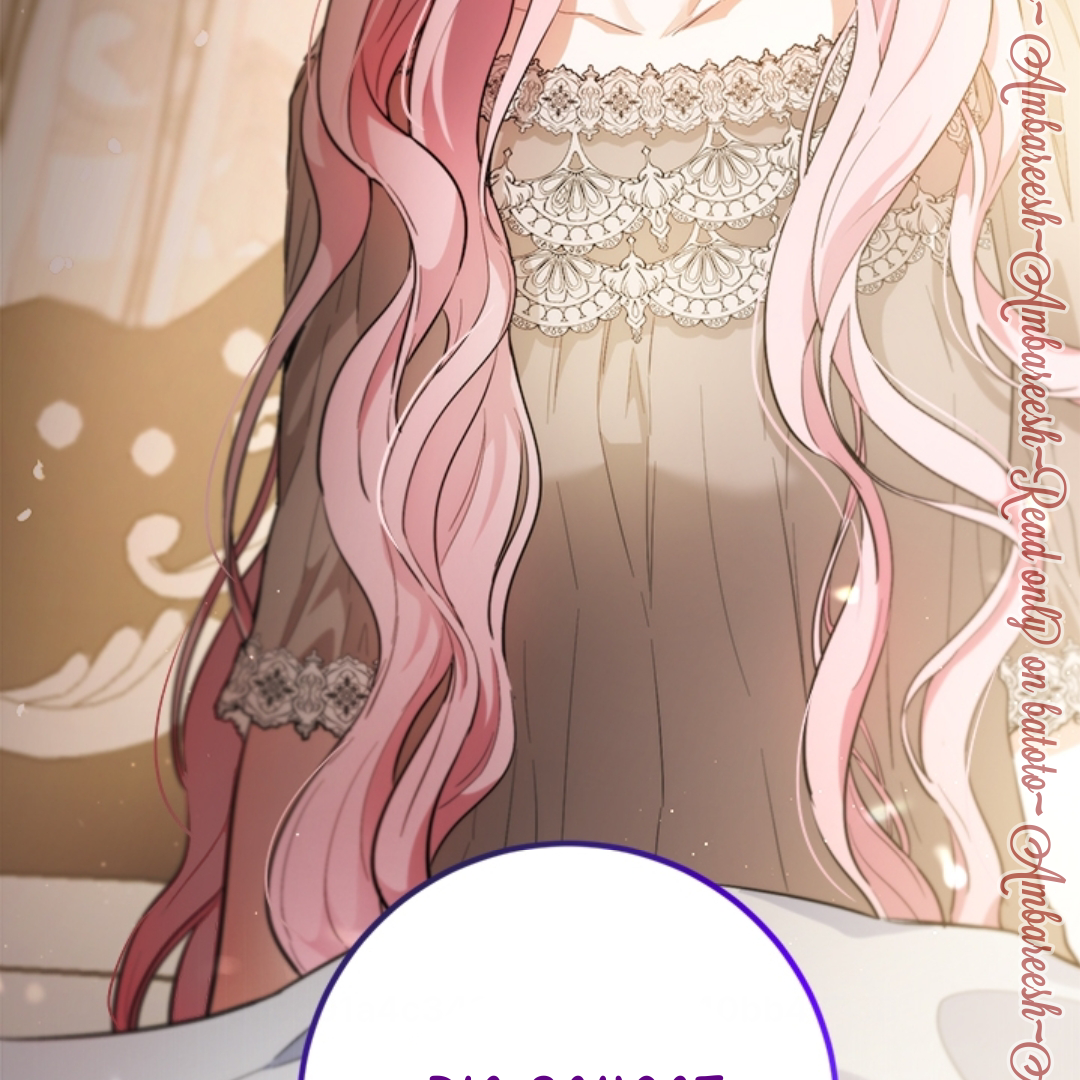 The Princess’s Double Life Chapter 107 page 161