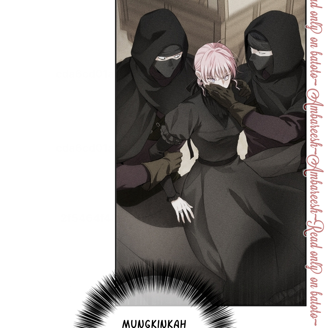 The Princess’s Double Life Chapter 107 page 32