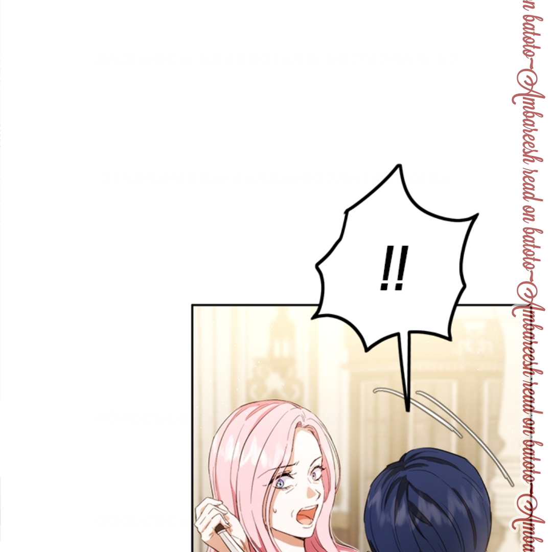 The Princess’s Double Life Chapter 108 page 58