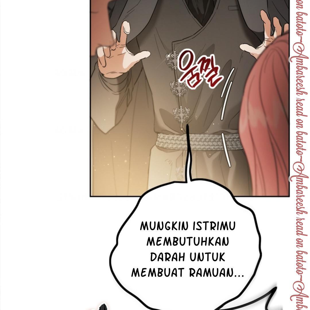 The Princess’s Double Life Chapter 108 page 66