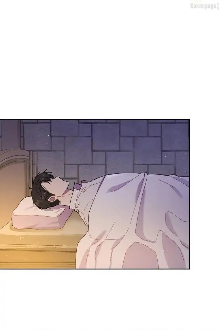 The Princess’s Double Life Chapter 33 page 0