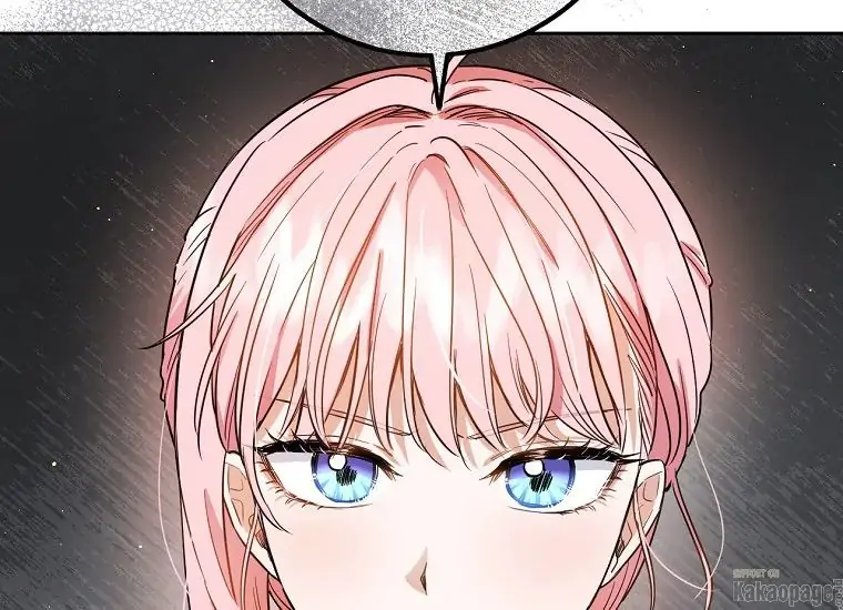The Princess’s Double Life Chapter 50 page 86