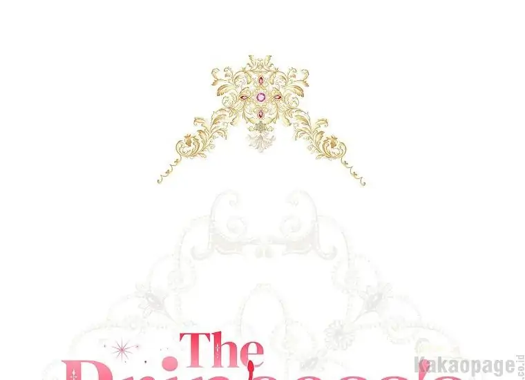 The Princess’s Double Life Chapter 60 page 75
