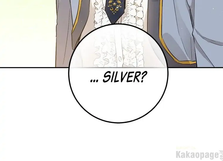 The Princess’s Double Life Chapter 60 page 91
