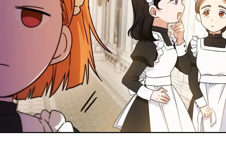 The Princess’s Double Life Chapter 63 page 163