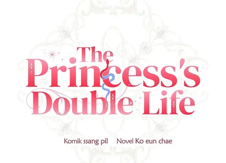 The Princess’s Double Life Chapter 63 page 27