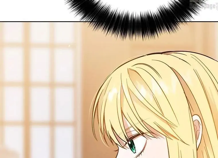 The Princess’s Double Life Chapter 9 page 15
