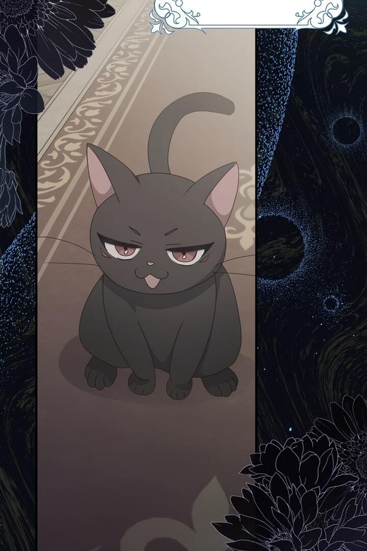 The secrets of the lovely duchess Chapter 5 page 18