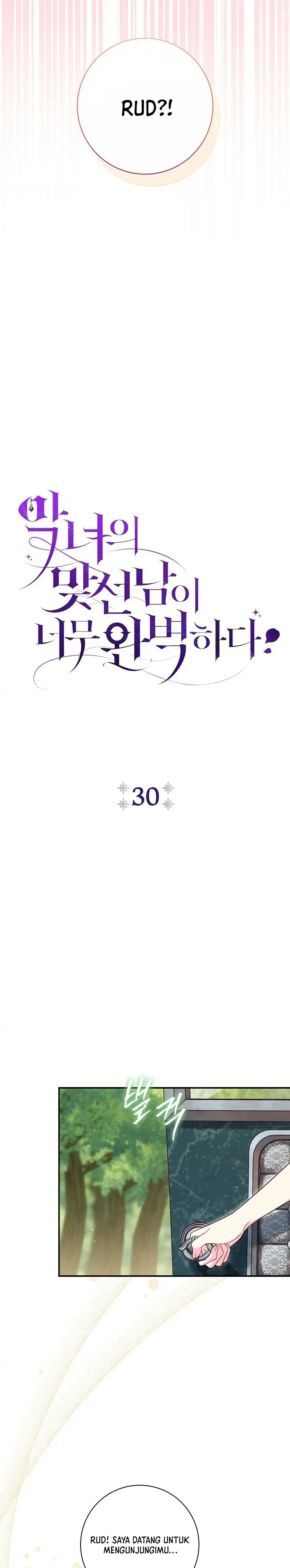 The Villainess’s Date is Perfect Chapter 30 page 10