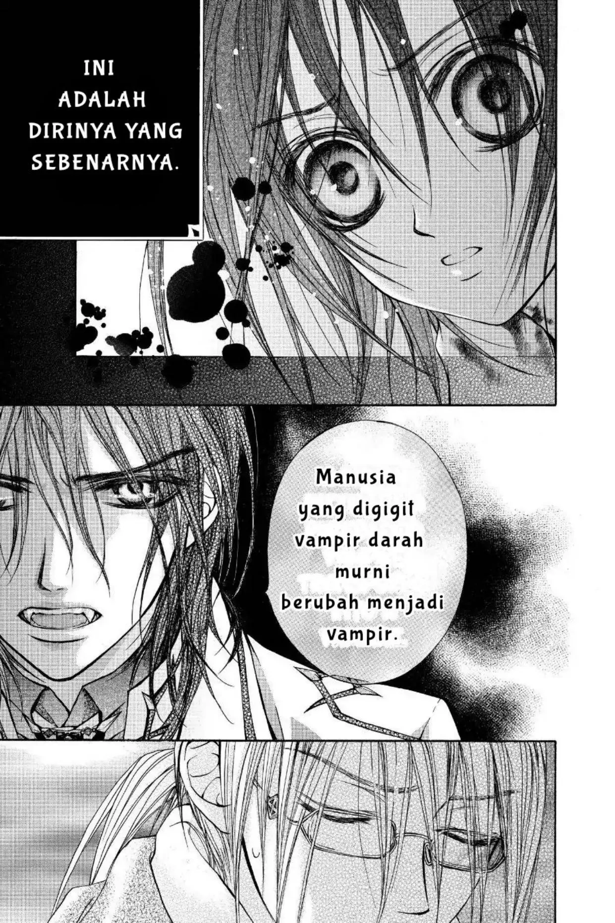 Vampire Knight Chapter 3 page 28
