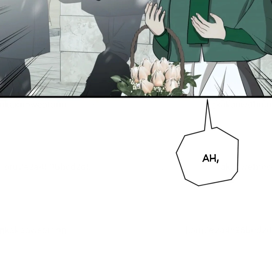 When I was bitten by a dog I abandoned Chapter 74 page 13